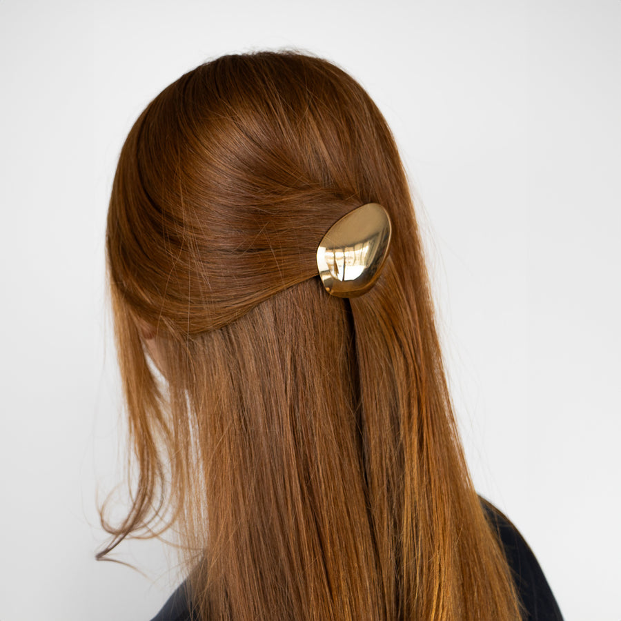 Shield Clip